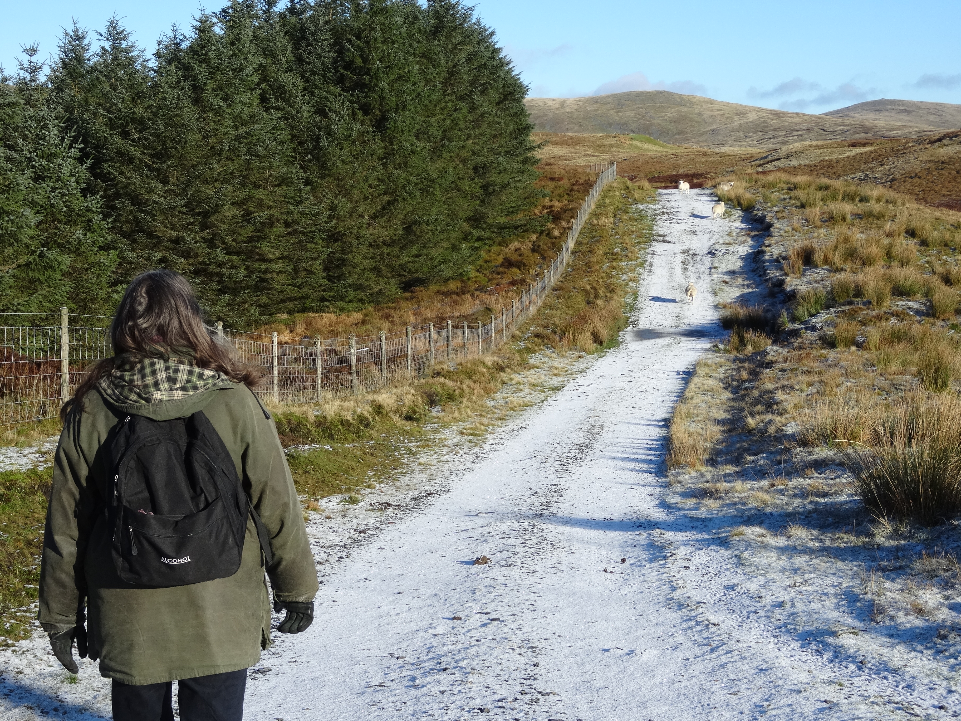 RachelSeabrook.net | Wild Walking | Y Garn & Pumlumon | pic05B
